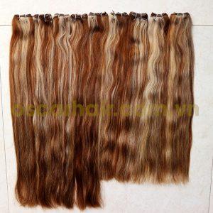 Vietnamese Double Drawn Weft Straight hair Piano Color