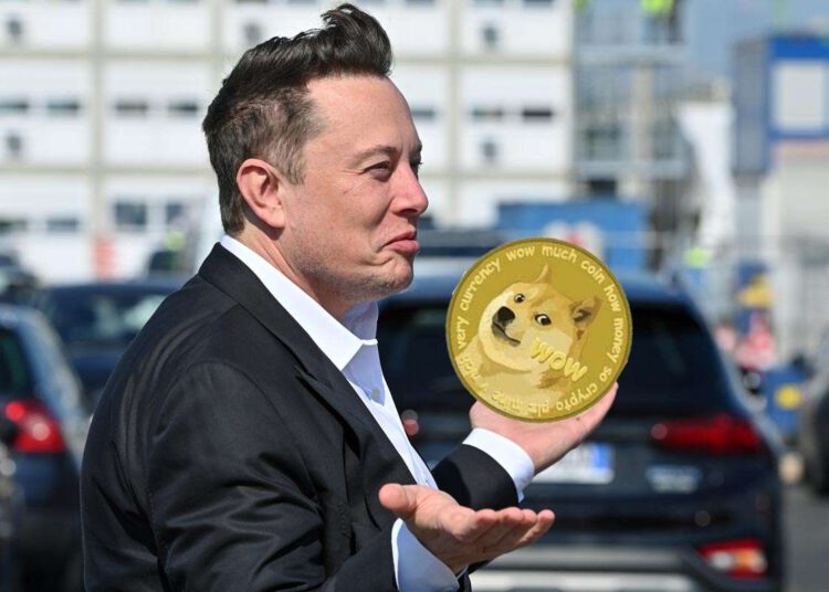 Elon Musk đã làm việc với các nhà phát triển DOGE từ năm 2019 – Cú lừa hay sự thật sau màn kịch?